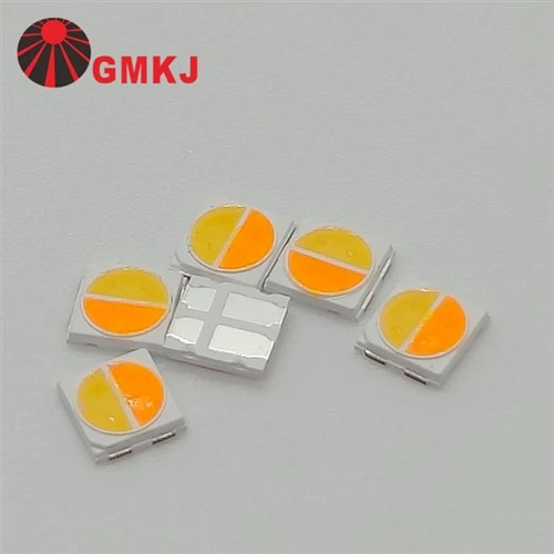 2 em 1 cor dupla 3000K 6000K 3030 Smd LED 1W